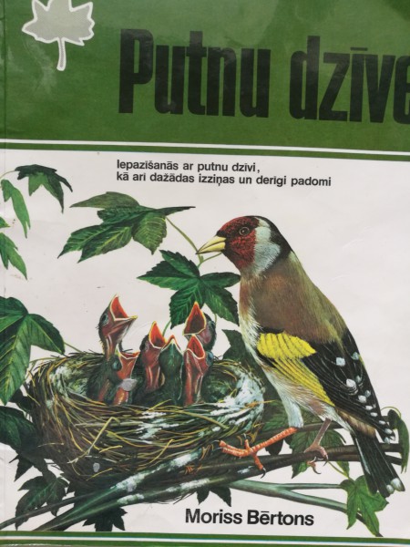 Putnu dzīve