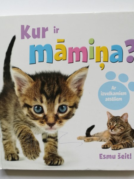 Kur ir māmiņa?
