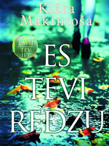Es tevi redzu