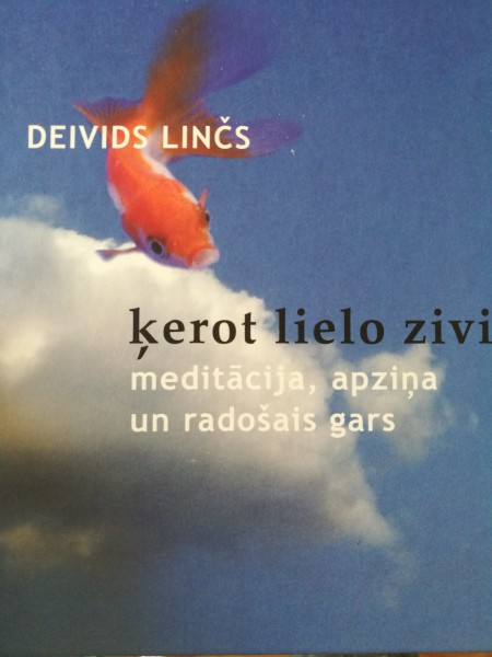 Ķerot lielo zivi