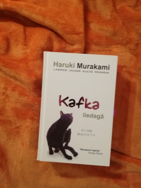 Kafka liedagā