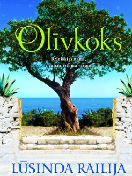 Olīvkoks