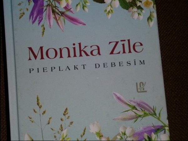 Pieplakt debesīm