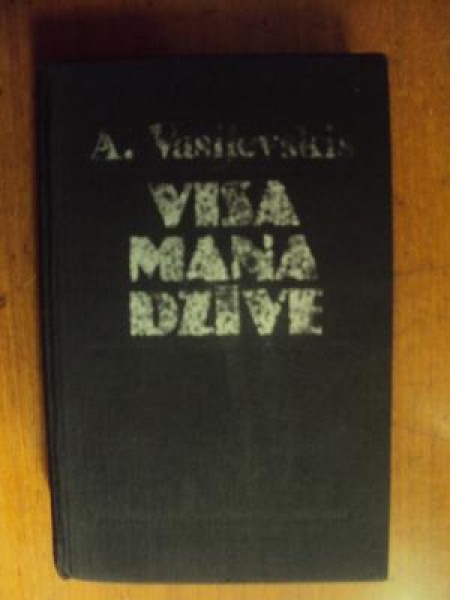 Visa mana dzīve