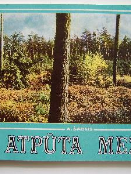 Atpūta mežā 
