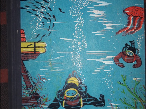 Homo aquaticus