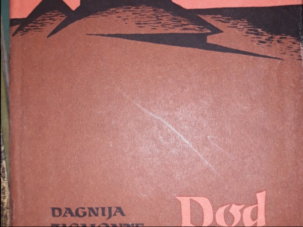 Dod roku rītausmai