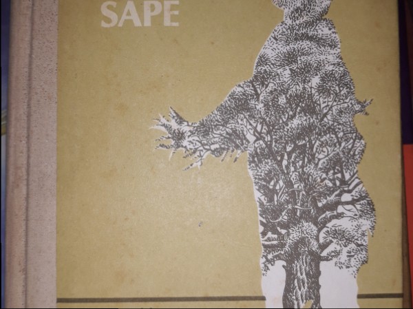 Zemes sāpe