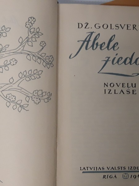 Golsverzijs