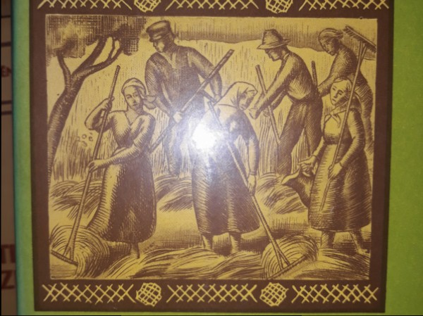 Saules grieži