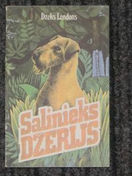 Salinieks Džerijs 