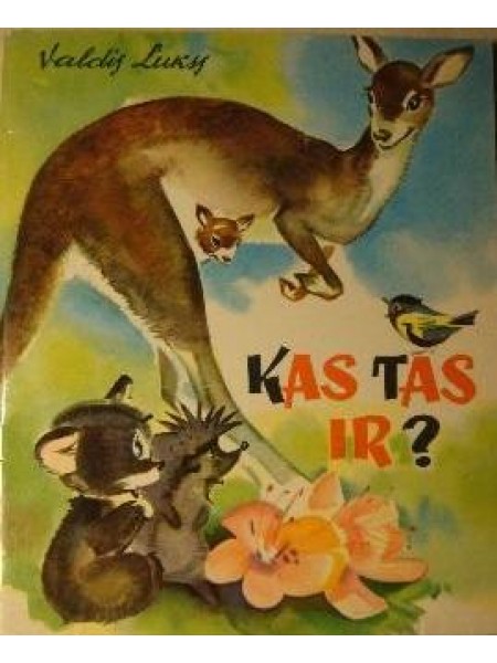 Kas tas ir? 