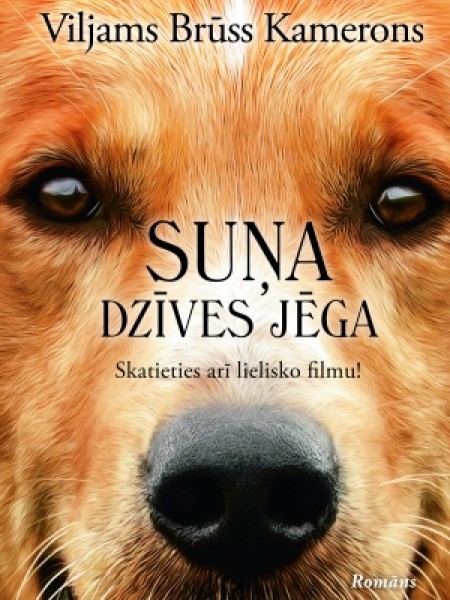 Suņa dzīves jēga