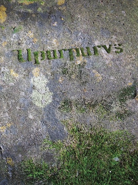 Upurpurvs