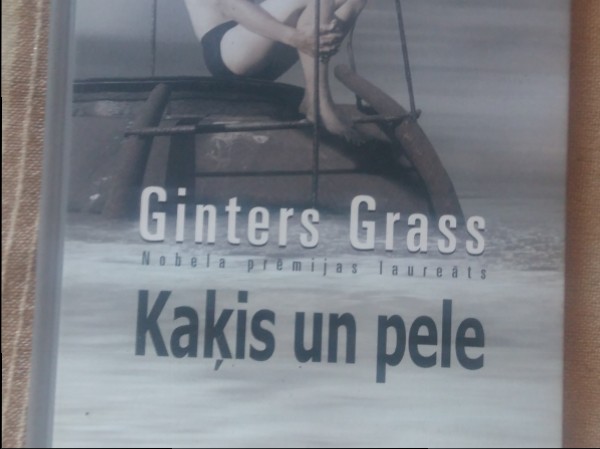 Kaķis un pele