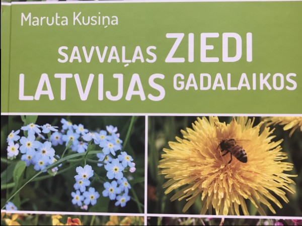 Savvalas ziedi Latvijas gadalaikos
