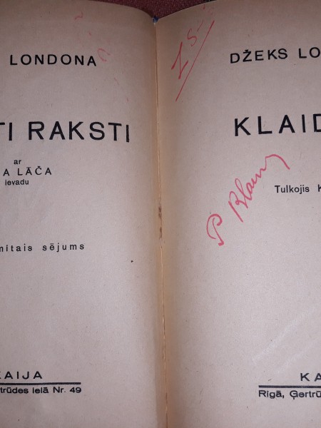 Klaidoņi