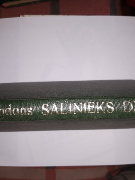 Salinieks Džerijs