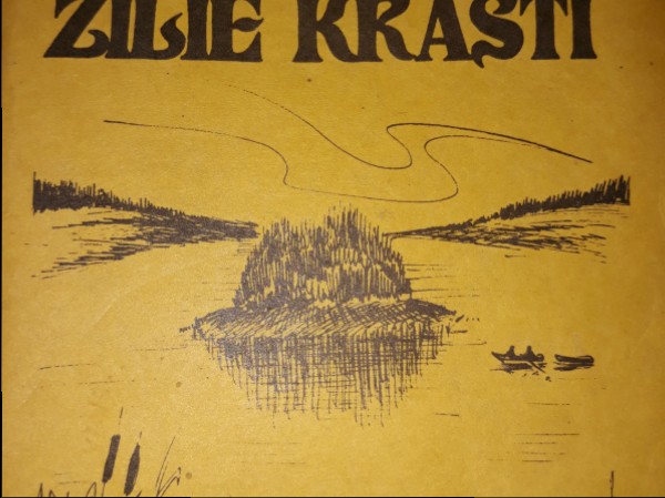 Zilie krasti