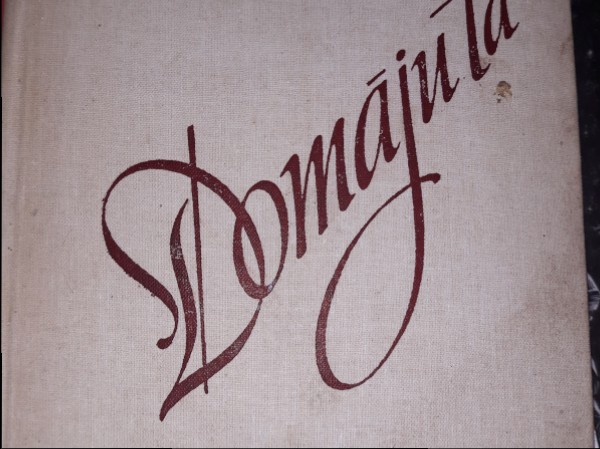 Domāju tā