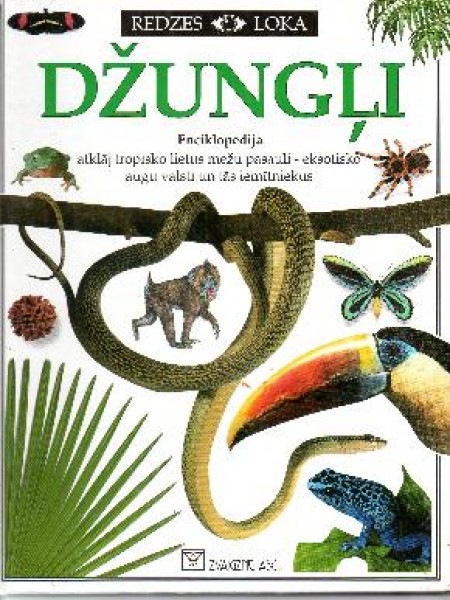 Džungļi Nr4