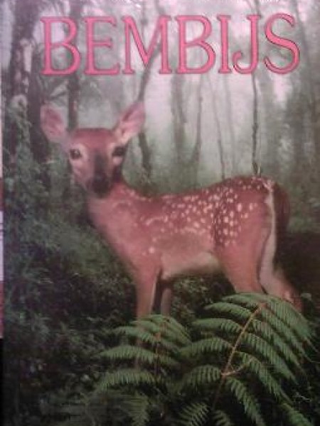 Bembijs