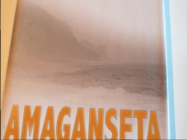 Amaganseta