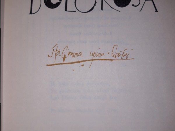 Via Dolorosa I