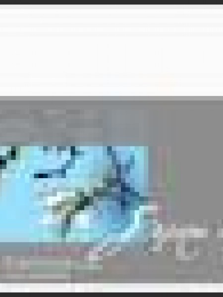 Sapņu meitenei 