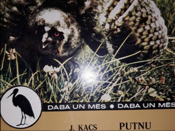 Putnu valoda