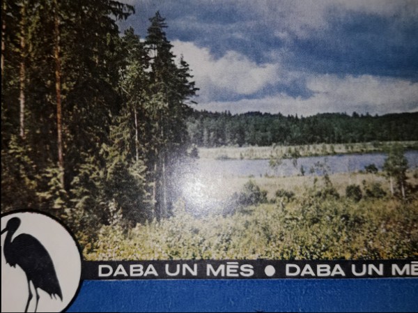 Meža ekosistēmas