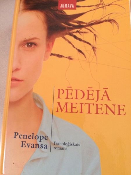 Pēdējā meitene