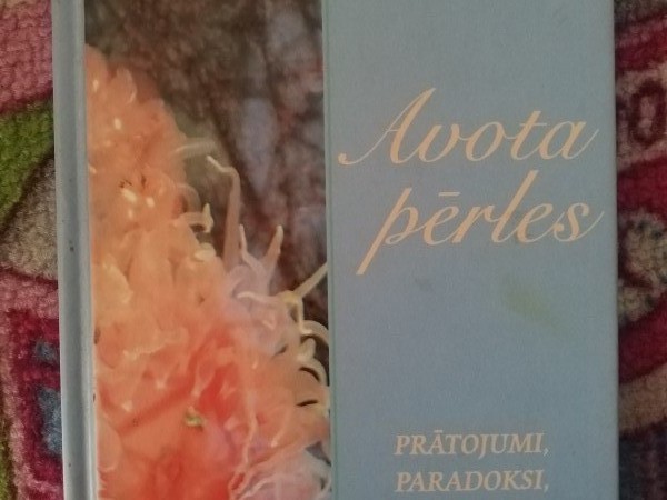 Avota pērles
