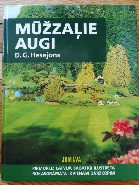 Mūžzaļie augi