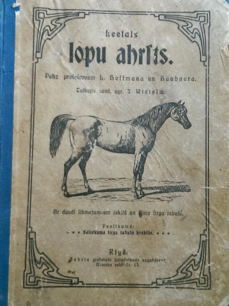 Lielais lopu ārsts