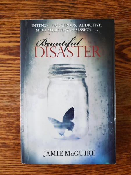 Beautiful disaster
