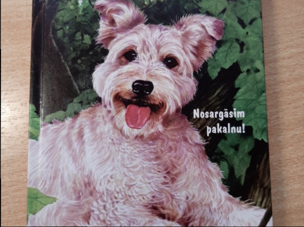 Lieliskais vītols