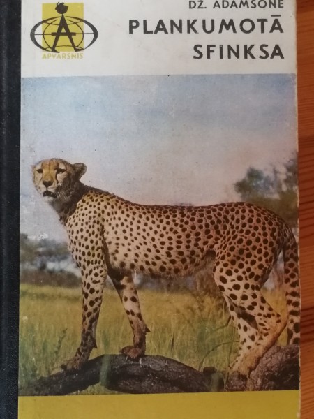 Plankumotā sfinksa