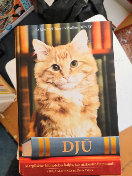 Djū
