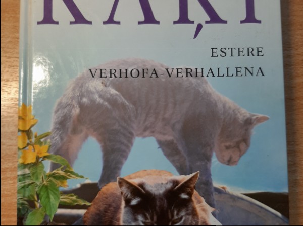 Kaķi