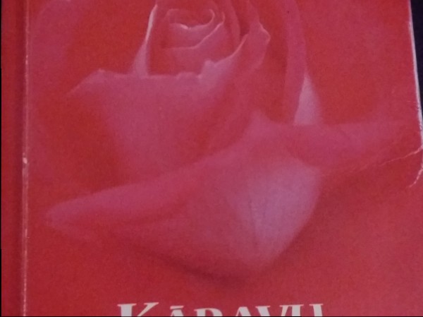 Kāravu bruņiniece