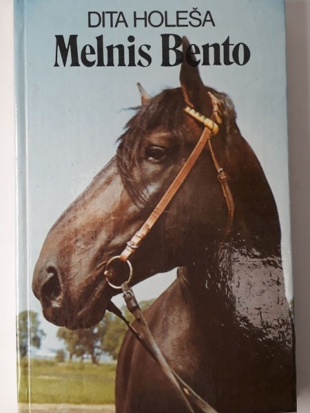 Melnis Bento 