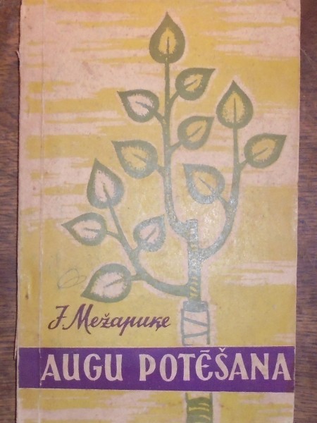 Augu potēšana