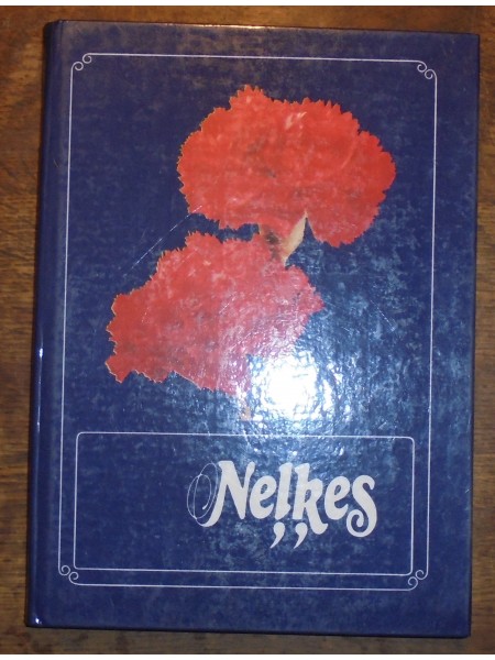Neļķes