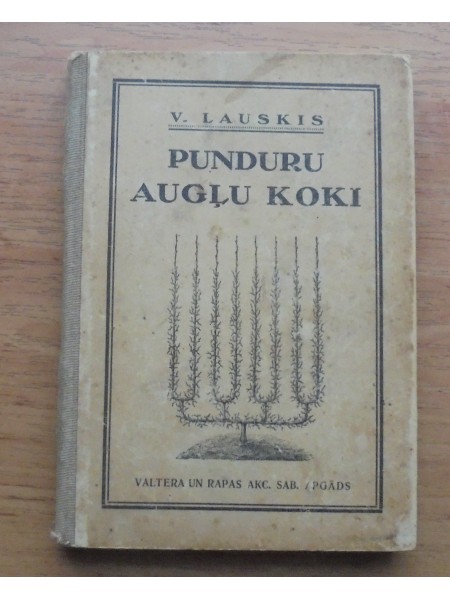 Punduru augļukoki