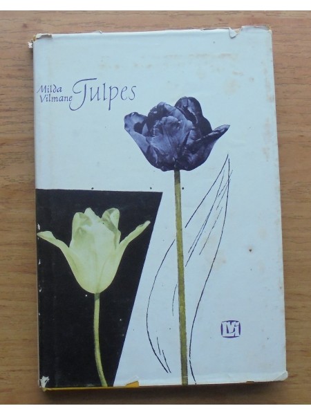 Tulpes