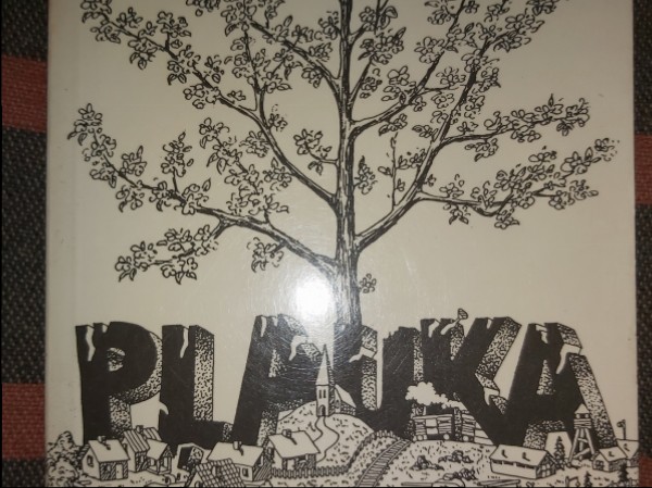 Pļauka 2