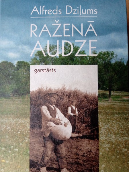 Raženā audze