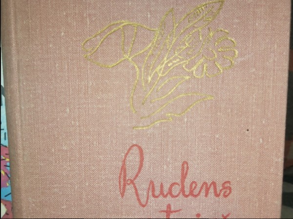 Rudens putniņš