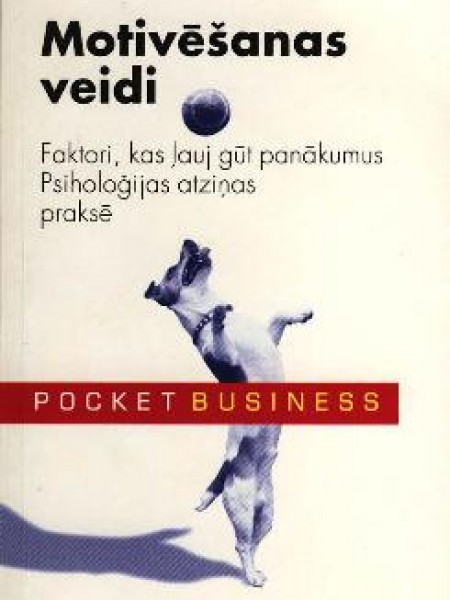 Motivēšanas veidi
